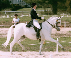 http://www.usdf.org/halloffame/images/photos/SeldomSeenLendonGray.jpg