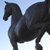 Horse Registration