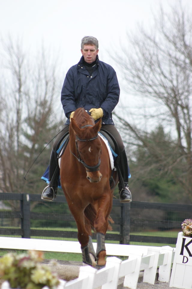 What Is Dressage? Dressage For Dummies
