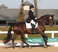 Turned out Horse