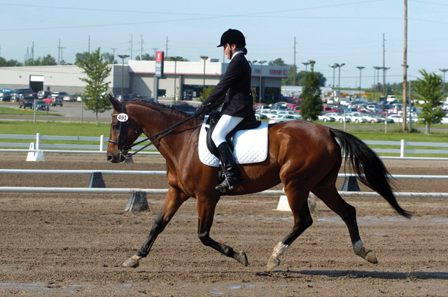 Dressage Seat