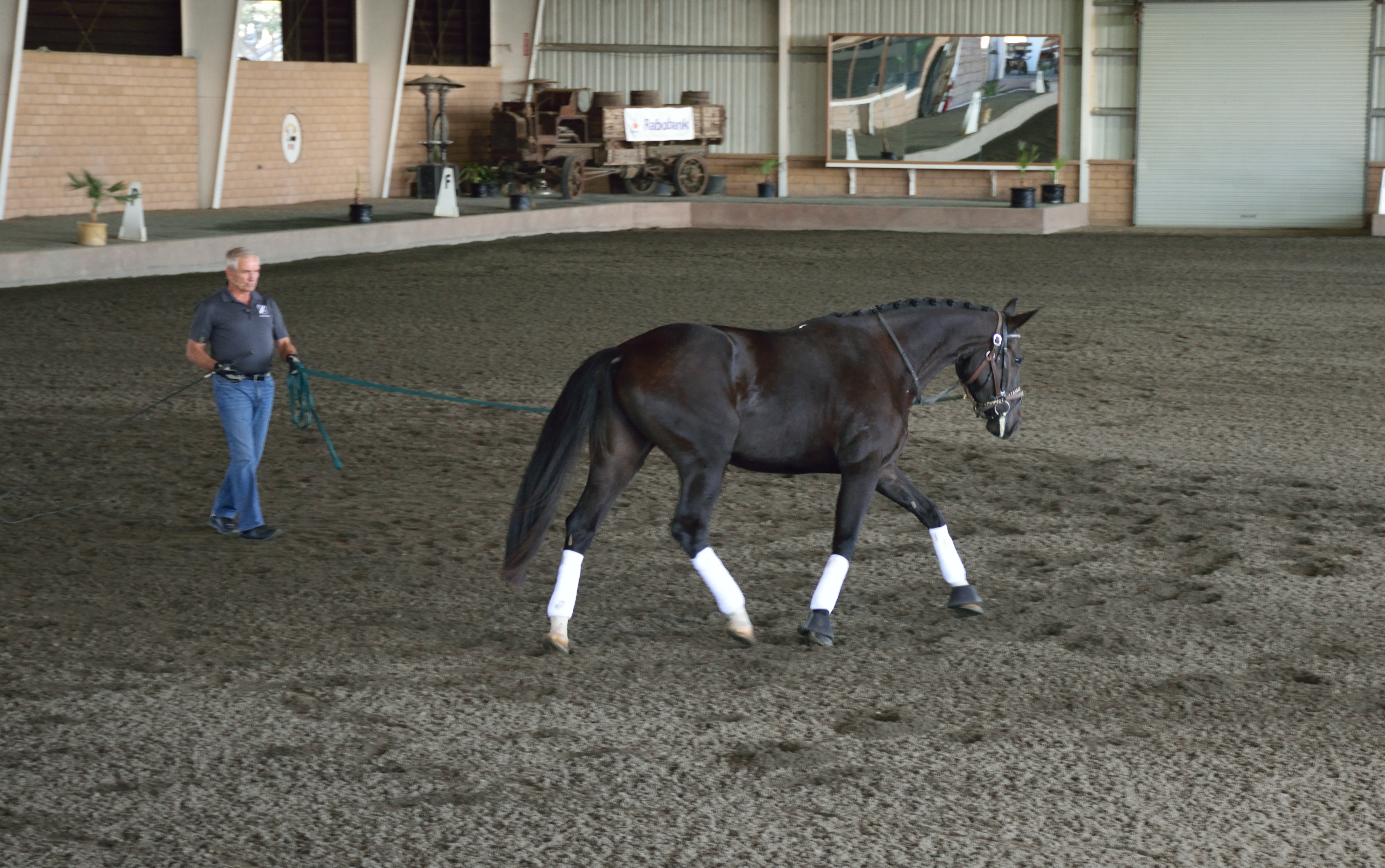 USDF University