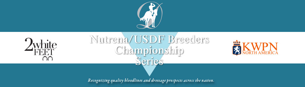 United States Dressage Federation