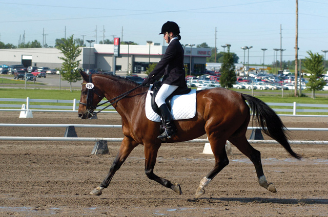 What Is Dressage? | Dressage For Dummies